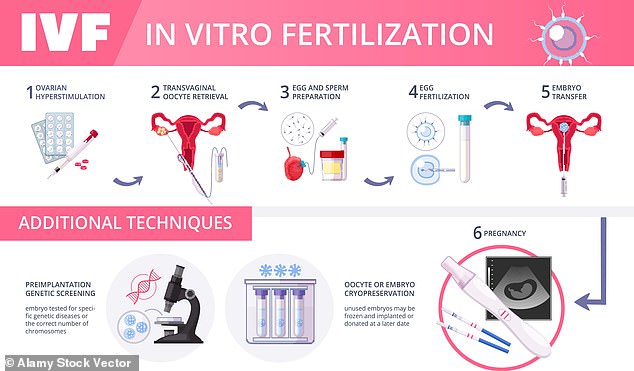 To undergo the treatment, parents would follow the normal IVF process. But, before implanting the embryo, PolygenX uses a technique called preimplantation genetic testing for polygenic risk (PGT-P) to predict which embryo will have the highest IQ