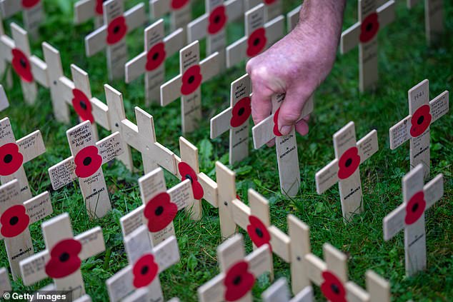 Crosses are placed in the ground ahead of today's ceremony, which comes before Armistice Day on Monday