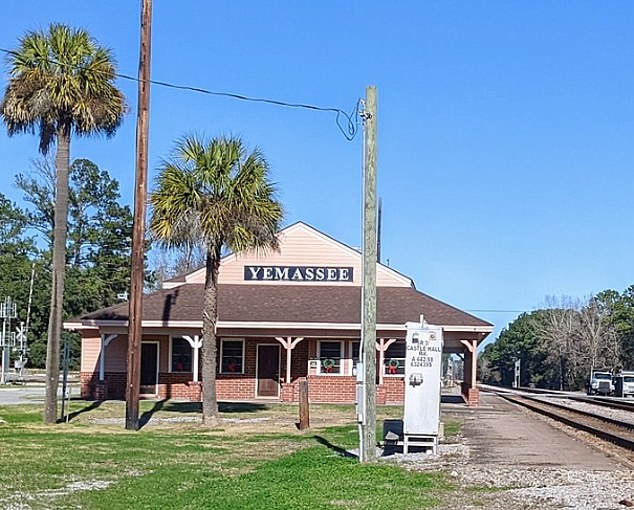 Residents in Yemassee, a town of 1,000 less than 50 miles west of Charleston, have been told to lock their doors and windows to prevent the primates from entering their homes