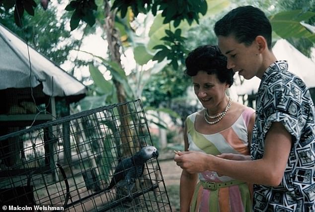 African Grey parrot Polly had a powerful beak and a vicious bite