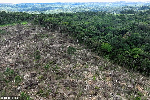 Deforestation is the process of permanently removing trees, often to make way for planting crops and cattle grazing to accommodate the human demand for food. Pictured, deforestation near Uruara, Para State, Brazil, January 21, 2023