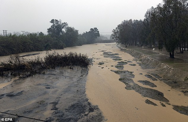 The overflowing Guadalhorce river in Cartama, Malaga, Andalusia, Spain, 13 November 2024