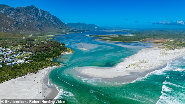 Go: Hermanus in South Africa is a must-visit for whale watchers