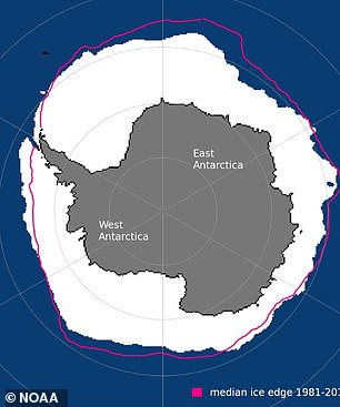 Pictured, Antarctic sea ice extent in October 2024 - less than the average for 1981-2010 (pink line)