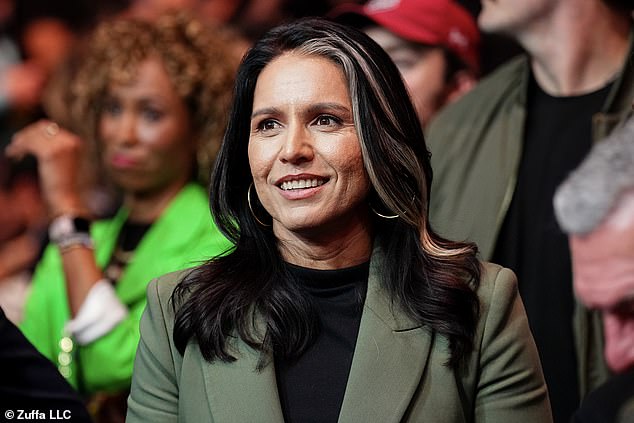 Director of National Intelligence nominee Tulsi Gabbard is seen during UFC 309 at MSG