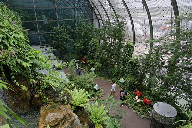 Singapore Changi Airport was ranked second in the 'Oscars for Airports' this year