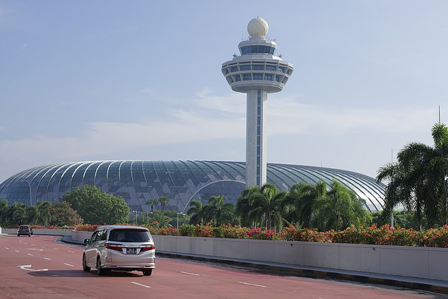 Khaja explains that the horticulture team tends to the plants that line the airport's roadways