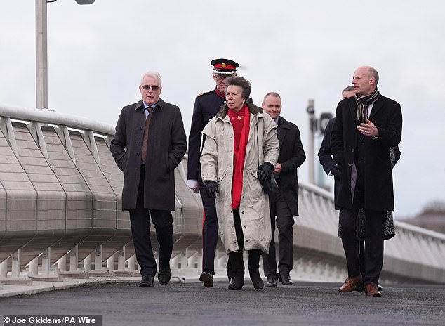 The £145million bridge was designed to combat congestion and publicly opened on September 7 to welcome traffic