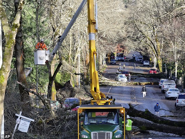 The weather service warned people on the West Coast about the danger of trees during high winds, as crews clean up downed trees and other debris from roadways