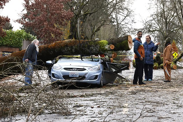 Falling trees have damaged homes, crushed cars and killed two people in the Seattle area