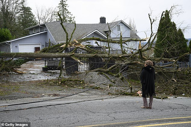 Tiffani Palpong stands in front of her home where her 20 year-old son Logan was still trapped by downed power lines and trees on November 20, 2024 in Lake Stevens, Washington