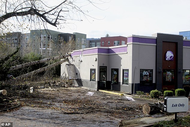 A tree fell onto a Taco Bell in Issaquah, Washington on Wednesday