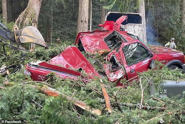 A pickup truck was totally crushed by a falling tree in Sudden Valley, as this image shared on Facebook shows