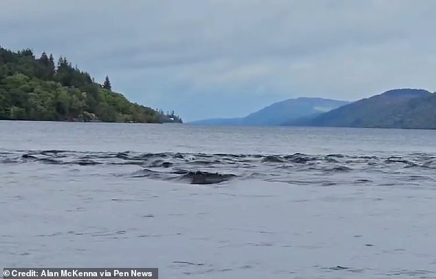 Peaks of standing waves, rising above the otherwise calm waters, could be mistaken for 'humps' above the surface