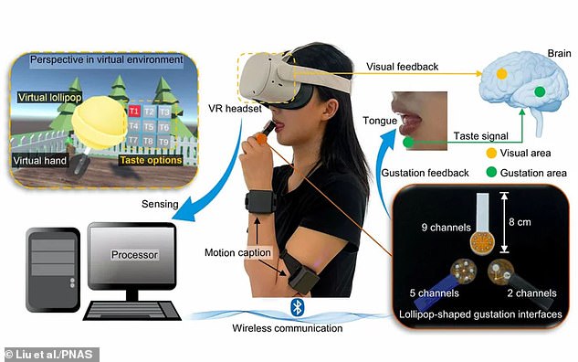 When an electric current is applied to the gels, the flavour chemicals rise to the surface and mix with the user's saliva to create a sensation of taste. The scientists synchronised these currents with virtual reality to allow users to taste things in the digital world