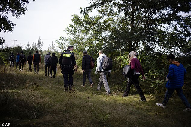 FILE PHOTO: German police officer escorts a group of migrants who illegally crossed the border from Poland into Germany