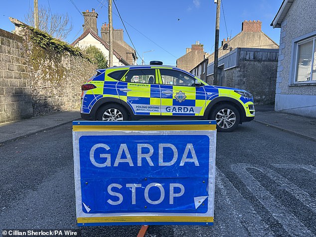 Police at the scene in New Ross, Wexford, after a girl died following an assault at a house