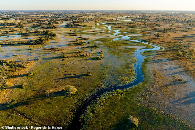 This aerial shot shows the stunning Botswana Okavango Delta, a place that Eli says 'felt like a dream'