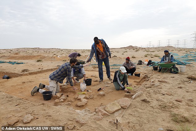 Researchers discovered the unusual form while digging at a site in Kuwait called Bahra 1