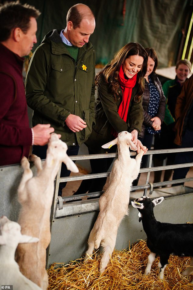 Prince William , 42, and Kate, also 42, aim to boost mental health support for the rural and farming communities of Northwest Norfolk (pictured at Pant Farm near Abergavenny in 2022)