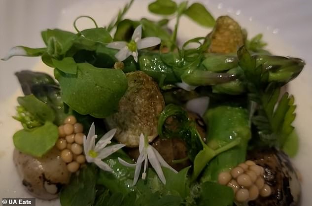 'A taste of spring' - baby Jersey Royals with asparagus, Lincolnshire Poacher cheese and pickled mustard seeds. UA says it looks like an 'elven forest'