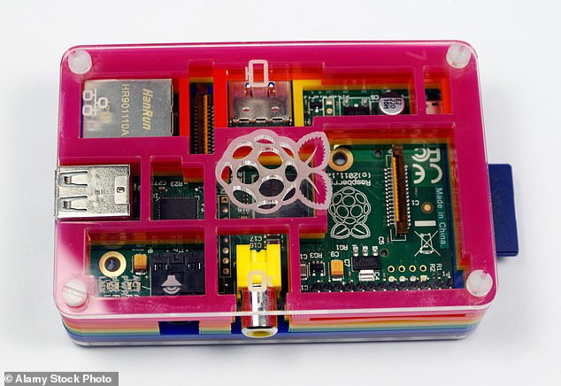 Good value: Founded in Cambridge just 12 years ago, Raspberry Pi has become known for computers that are robust, effective and cheap