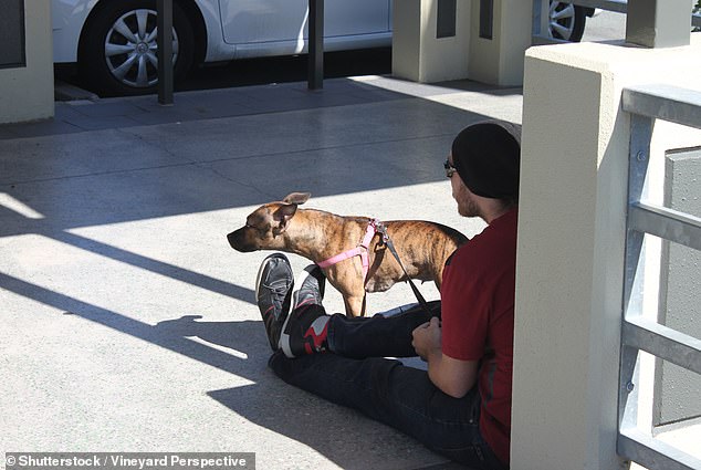 Under the new laws anyone camping in public areas and those sleeping in vans are no longer allowed to keep pets. Failure to comply comes with a $8,605 fine