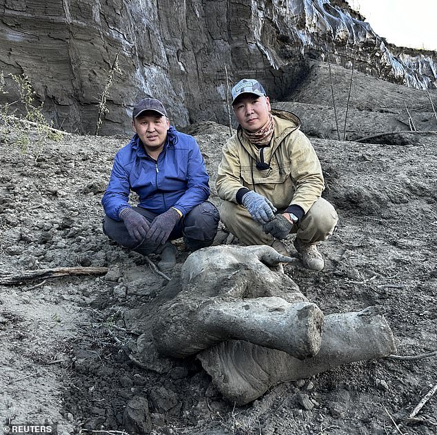 Researchers Gavril Novgorodov and Erel Struchkov pose for a picture next to the carcass of a baby mammoth, which is estimated to be over 50,000 years and was found in the Siberian permafrost in the Batagaika crater in Yakutia, Russia on June 13, 2024