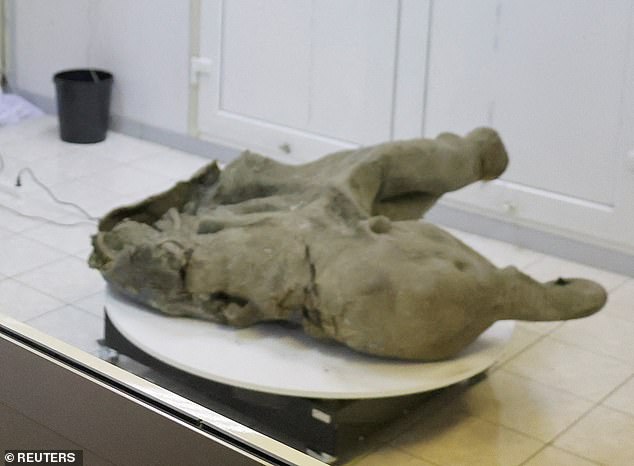 Yana's limbs were eaten, possibly by sparrows or small mammals, but the trunk and other parts of the head are uniquely preserved, researchers have said