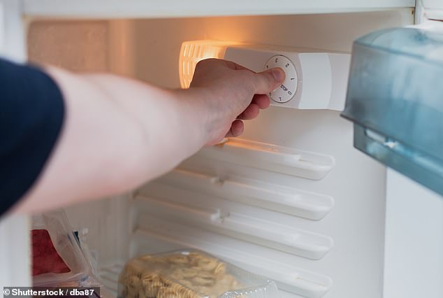 According to the Food Standards Agency (FSA), your fridge needs to be set to at least 5°C (41°F) or lower to store food safely. However, your freezer needs to be at least -18°C (-0.4°F) to completely stop the development of germs (stock image)