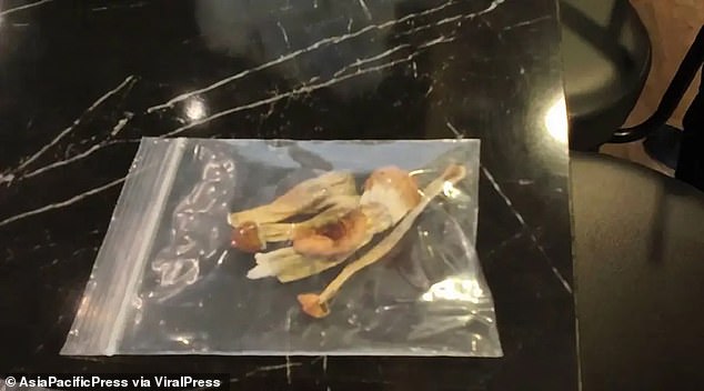 Police reportedly found sacks containing 7kg of magic mushrooms in a raid of the store