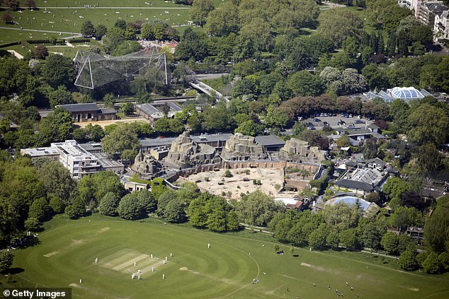 London Zoo (pictured), once 80p to enter (£7.20 in today's money), costs £27 per person during off-peak periods, and up to £33 at weekends - an increase of 358 per cent based on the weekend ticket