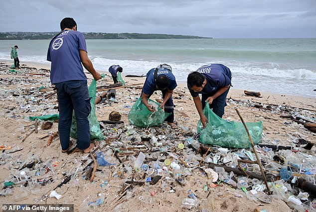 Overtourism has turned Bali into a 'plastic apocalypse', Fodor's says