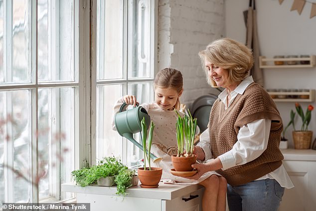 As many as one in seven people have a 'highly connected' relationship with their pot plants, a study has found (stock image)