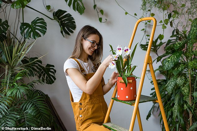 It means they have 'deep love' for the plants that share their home, or even see them as part of the family (stock image)