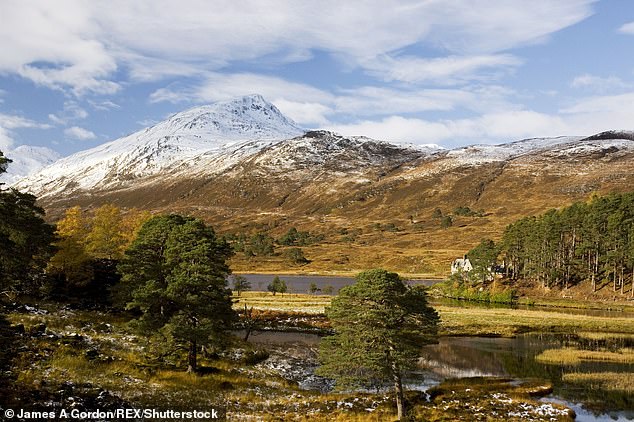 Located 15 miles west of Loch Ness, the 10,000-acre estate is owned by Mr Matthews' father David, who bought the grounds and main house, Affric Lodge, in 2018 (file image)