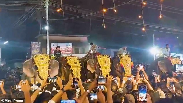 The festival is renowned for its stunning elephant processions, where decorated elephants march in rhythm with the beat of the drums