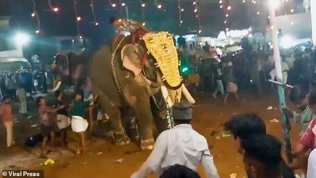 Nearby elephant riders can be seen comforting the distressed animal and removing some of the ornaments it is wearing in an attempt to alleviate its aggression