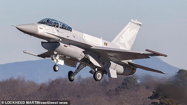 The unnamed pilot was under orders to knock down the cruise missiles and was flying an F-16 fighter pilot