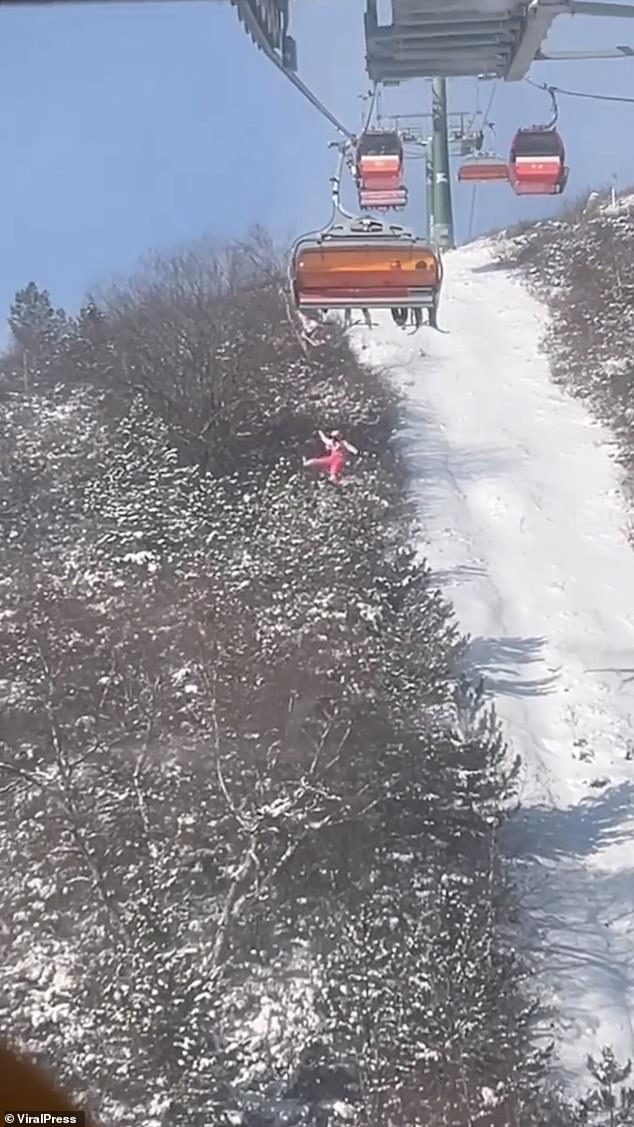 She then plunged around 40ft (12m) through the air towards the snow-covered pine trees below