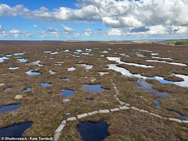 Scotland's Flow Country is the first peatland to earn Unesco recognition. The NYT adds: 'It is one of the world¿s biggest carbon stores, which makes it key to the fight against climate change'