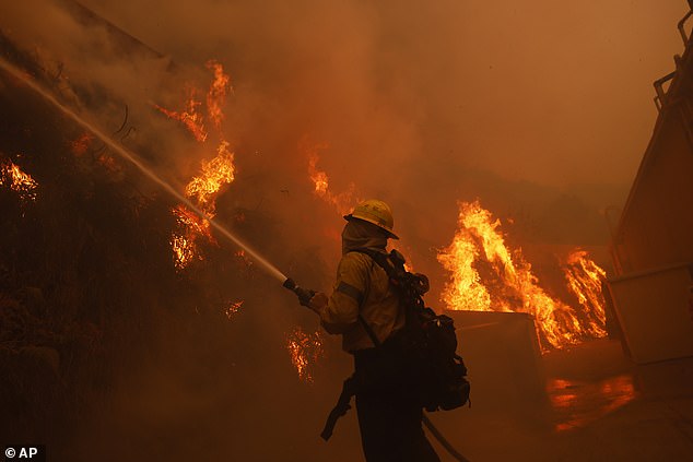 The blazes first ignited on January 7 after powerful Santa Ana winds began blasting Southern California with gusts up to 100 mph