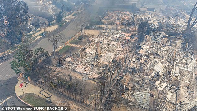 Aerial photos show how Scary Movie star Anna Faris has been left with nothing but a pile of rubble