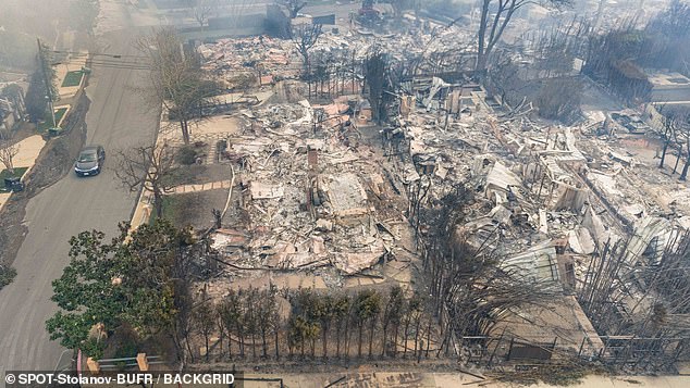 Anna Faris' $5 million eco-friendly abode was totally decimated by the blaze