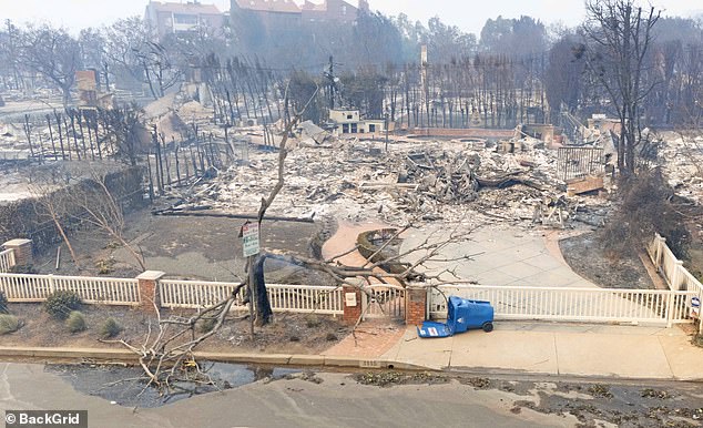 Debris was strewn across John Goodman's property in aerial pictures obtained by DailyMail.com, while a huge tree that once stood at the front of the home had also fallen in the blaze