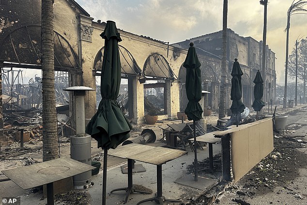 Fire-ravaged businesses are seen after the Palisades Fire swept through