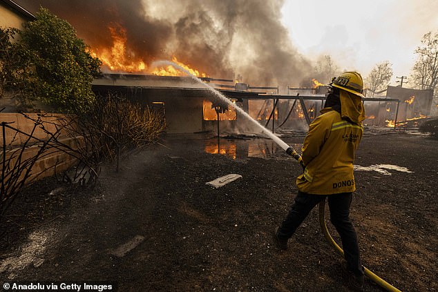 The fires have been made worse by powerful Santa Ana winds with gusts of up to 100 mph (160 kmph). Although not unusual for this time of year, the winds have pushed the fires to spread even faster. Pictured: a firefighter extinguishes a home burning in the Eaton fire