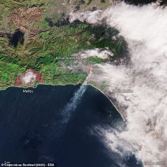 January 7, 10:36 local time: This first image of the Palisades wildfire shows how the blaze began as a forest fire just west of Santa Monica