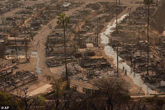 Extraordinary drone footage highlights the unprecedented extent of damage across southern California as once magnificent homes and a total of 10,000 structures are reduced to grey, ash covered rubble