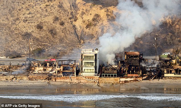 The Malibu coastline was decimated by the Palisades wildfire